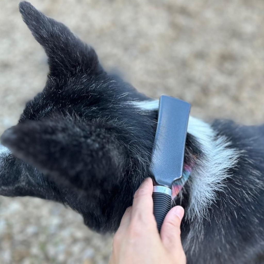 BASS Universal Brush Black