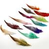 100pcs/lot High Quality Pheasant Feather 10-15cm Natural Color and Dyed Feathers for DIY Craft & Jewelry Accessories
