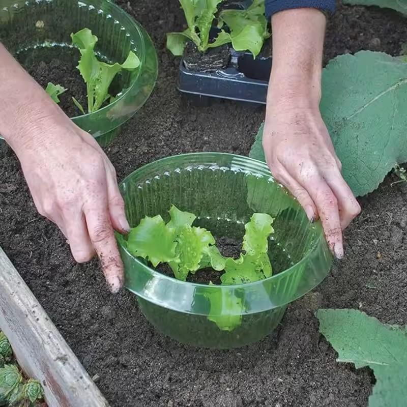 5/10/15/20 шт. Воротники от улиток, Воротники для защиты растений от слизней, Чехлы для овощей, Многоразовые сельскохозяйственные воротники для защиты растений от улиток, Экономят воду