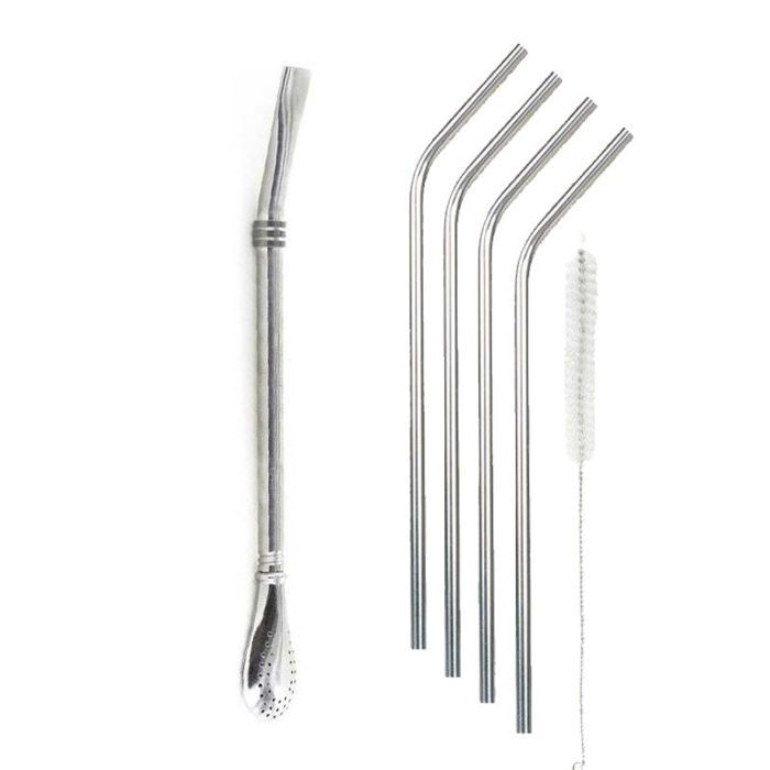 Straw with Integrated Filter + 4 Standard Stainless Steel Straws