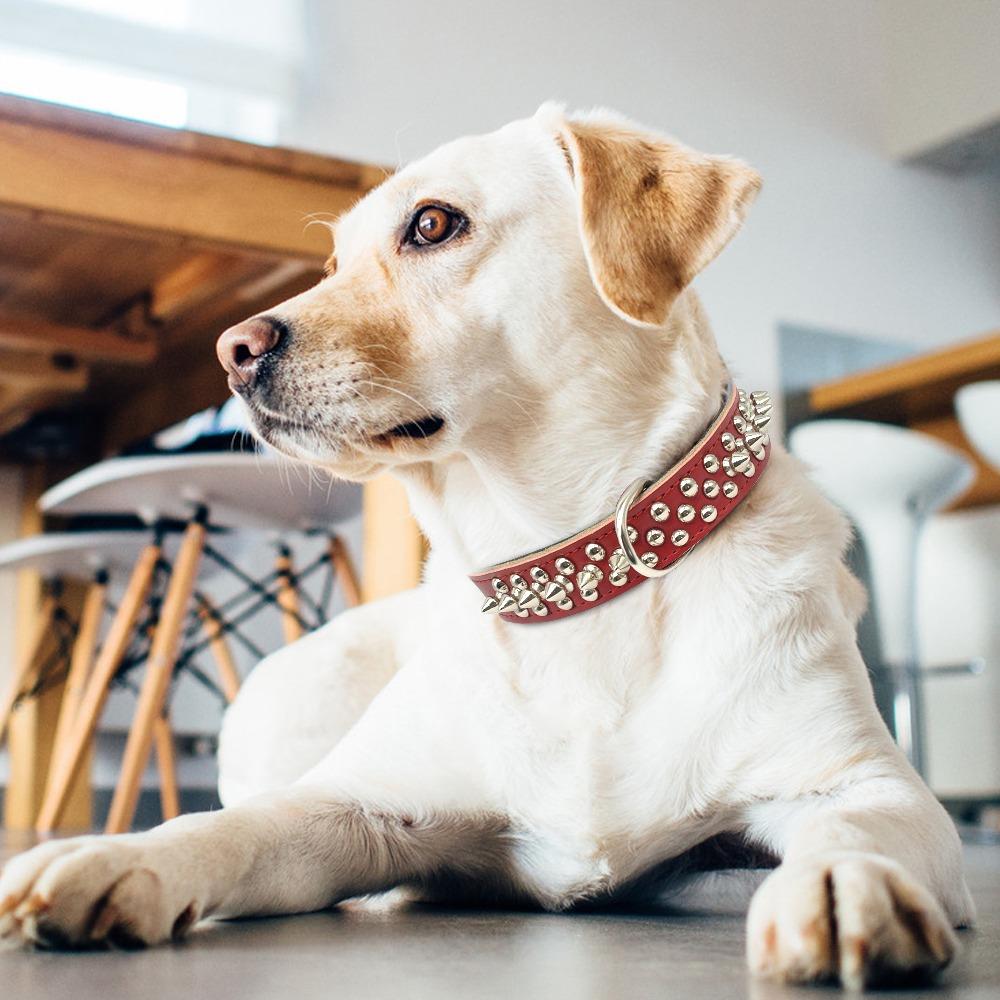 2023 Colorful Anti-bite with Rivet PU Leather Durable Dog Collar Cat Choker Pet Necklace Dog Chains