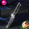 Damascus Paring Knife 3.5" Japanese VG10 Super Steel 67 Layer High Carbon Stainless Steel G10 Handle Fruit Knife