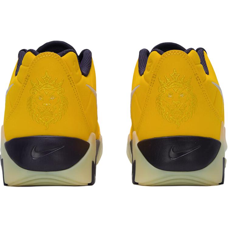 Nike LeBron Witness 9 GS Мягкий Желтый Пещерный Фиолетовый Детские Кроссовки Золотой Желтый Сиреневый HV2270-700