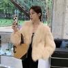 of autumn and winter new imitation mink hair splicing fox hair plush coat short thin imitation fur coat