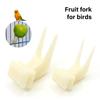 10PCS Bird Forks Food Holder Birdcage Foraging Fruit Holder Plastic Parrot Skewer Treats Feeding Tool for Small Birds