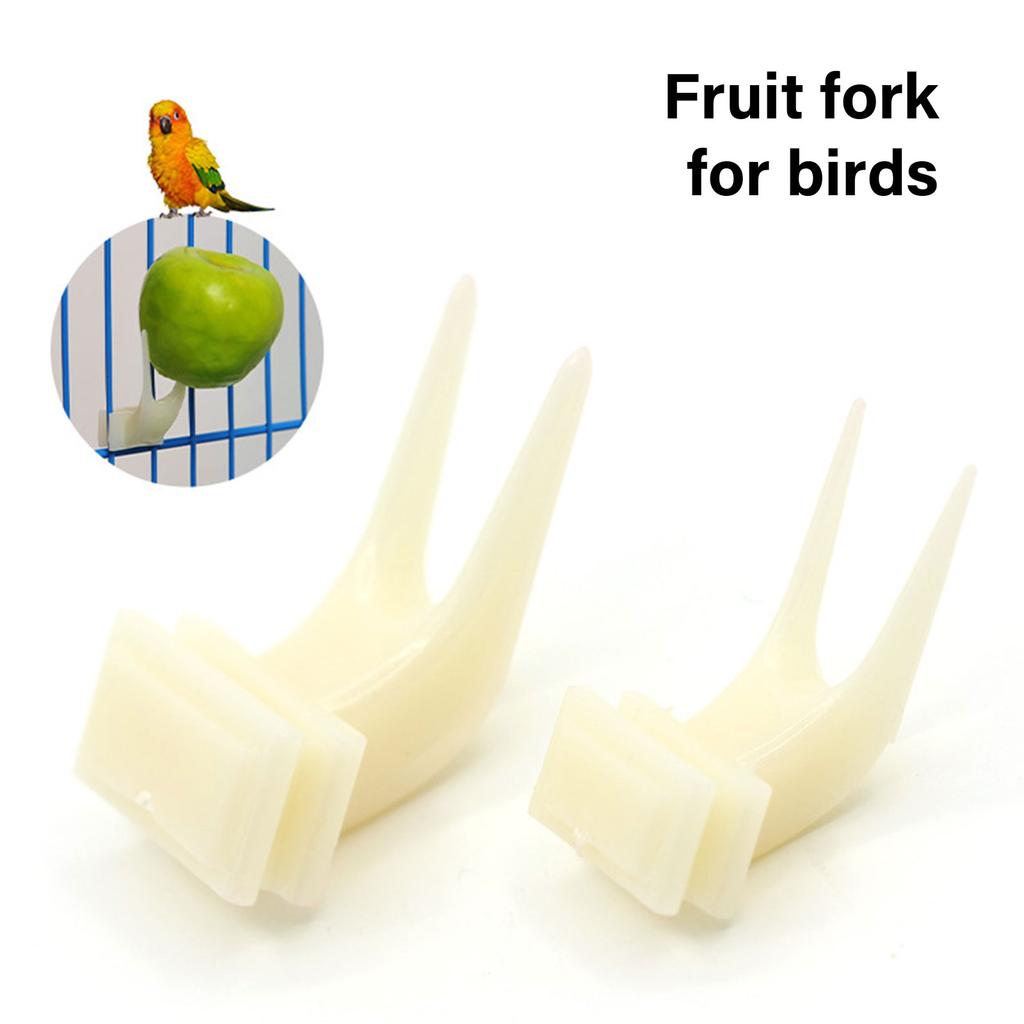 10PCS Bird Forks Food Holder Birdcage Foraging Fruit Holder Plastic Parrot Skewer Treats Feeding Tool for Small Birds