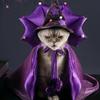 Костюм кошки на Хэллоуин Удобный наряд кота-волшебника Костюм собаки-ведьмы Плащ кошки Шляпа ведьмы Хэллоуин Одежда для собак для кошек/собак S/M
