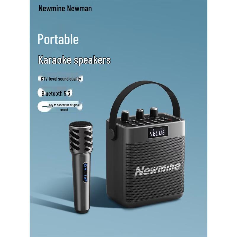 Портативная Bluetooth-колонка для караоке Newmine K519, штекер CN (адаптер в комплекте)