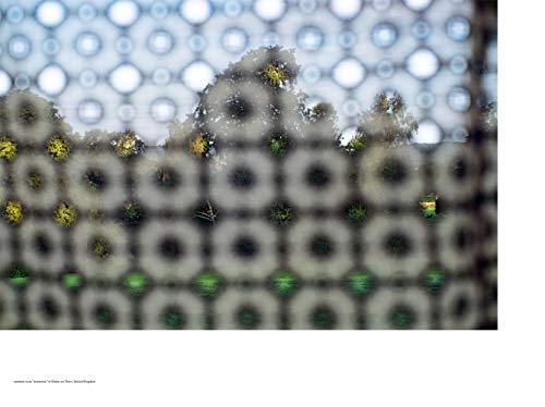 Мина Перхонен / Акира Минагава Продолжение