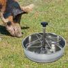 Pig Feed Trough Feeder Bowl Stainless Steel Piglet Waterer Livestock