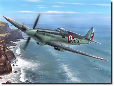 Special Hobby Французский Supermarine Seafire Пластиковая модель SH48125n 1/48 Mk.15