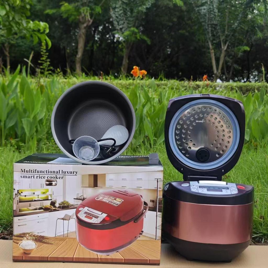 5L Multi-Function Smart Rice Cooker for Southeast Asia and Africa