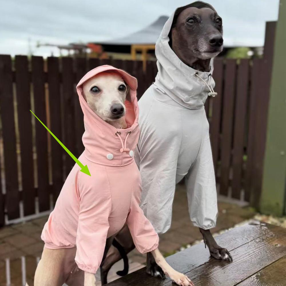 Spring Summer Pink Raincoat For Italian Greyhound Windproof Waterproof Grey Jacket For Whippet Dog Adjustable Hat Coat