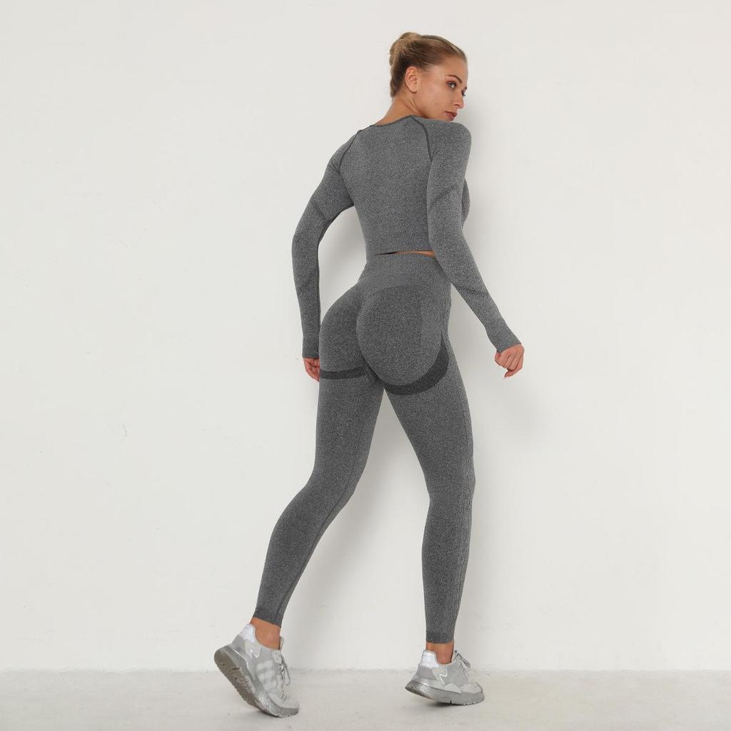 Women Seamless Yoga Suit Sweat Absorbing Hip Lifting High Waist Fitness Pants Tight Long Sleeve Sports Suit