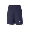 Puma Шорты для тренировок Teamgoal Asian Fit Puma Shorts