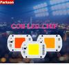LED Lights COB LED Lamps CHIP AC 220V 50W 30W 20W 10W Hight Brightness Lighting COB Lights Chip For DIY Smart IC Full Spectrum Flood Light
