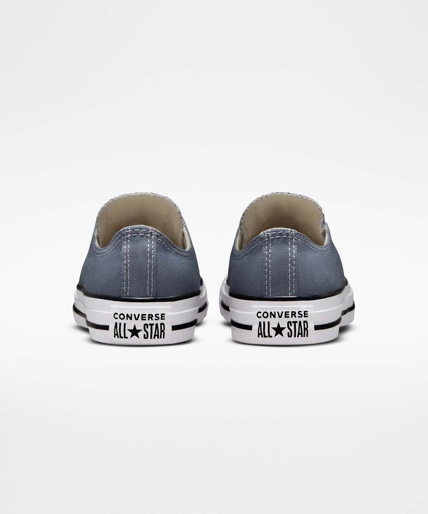 Converse Chuck Taylor All Star Seasonal Color Luna Grey A02802C