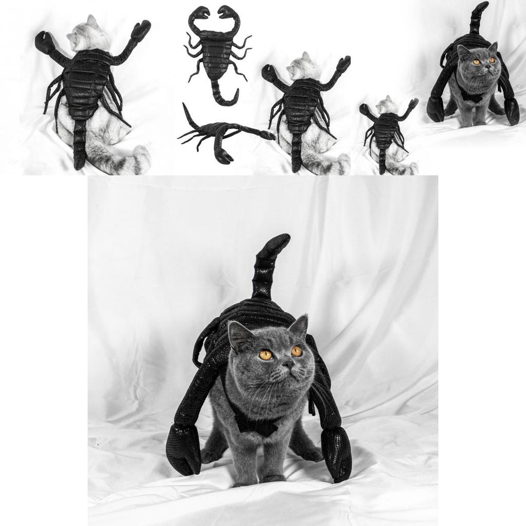 Unique Halloween Pet Costume Funny Scorpion King Outfit For Cats And Dogs Black Cloth