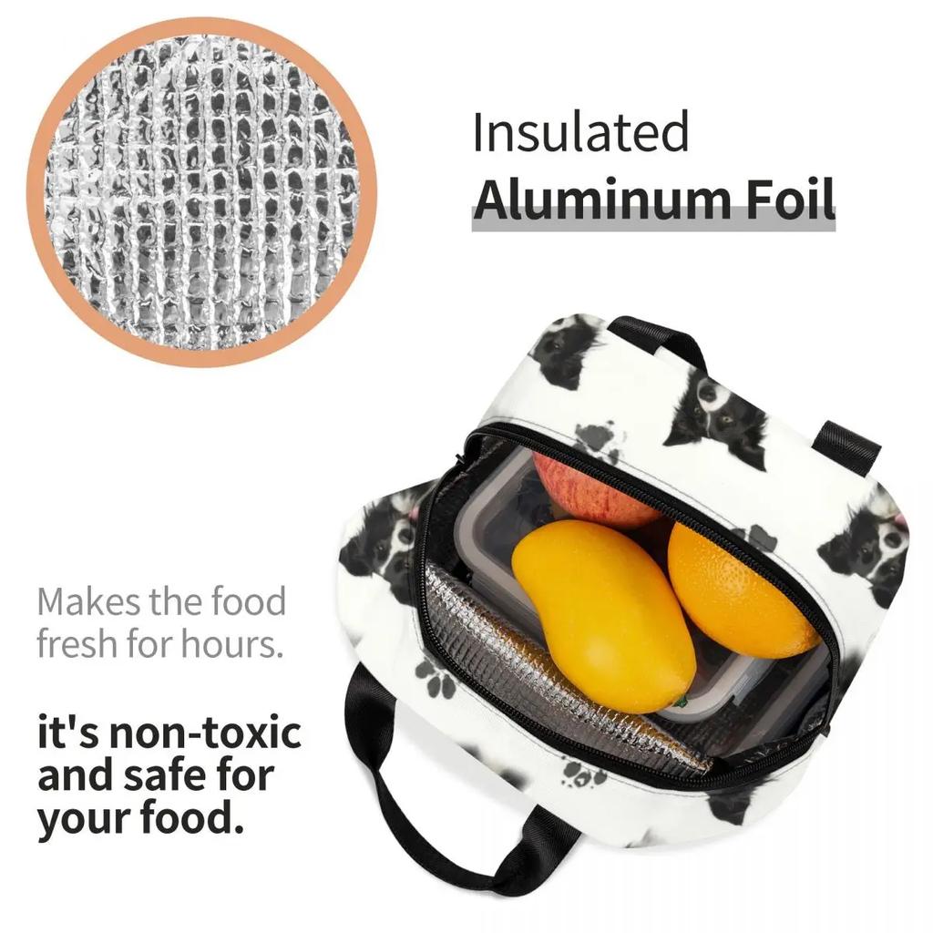 Индивидуальная сумка для обеда Border Collie для женщин, термохолодильник, изолированные ланч-боксы для детей, школьников, сумка для хранения свежих фруктов