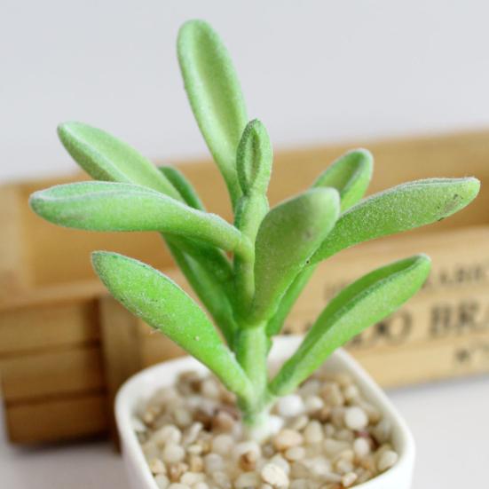 1Pc Artificial Succulent Plant Bonsai Stage Garden Home Party Desktop Decoration