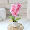 Моделирование фаленопсис бонсай украшения искусственный цветочный горшок сад домашний декор