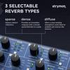 Strymon synthesis reverb machine “NIGHTSKY” []