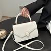 Women's Handbag 2025 Winter New Versatile Ins Solid Color Small Square Bag Women's Bag