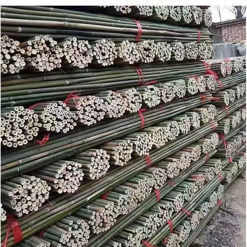 Bamboo Garden Stakes and Support Poles