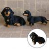 Realistic   Dog Shape Toy Dachshund Stuffed Animal Plush Doll Gift For-hao
