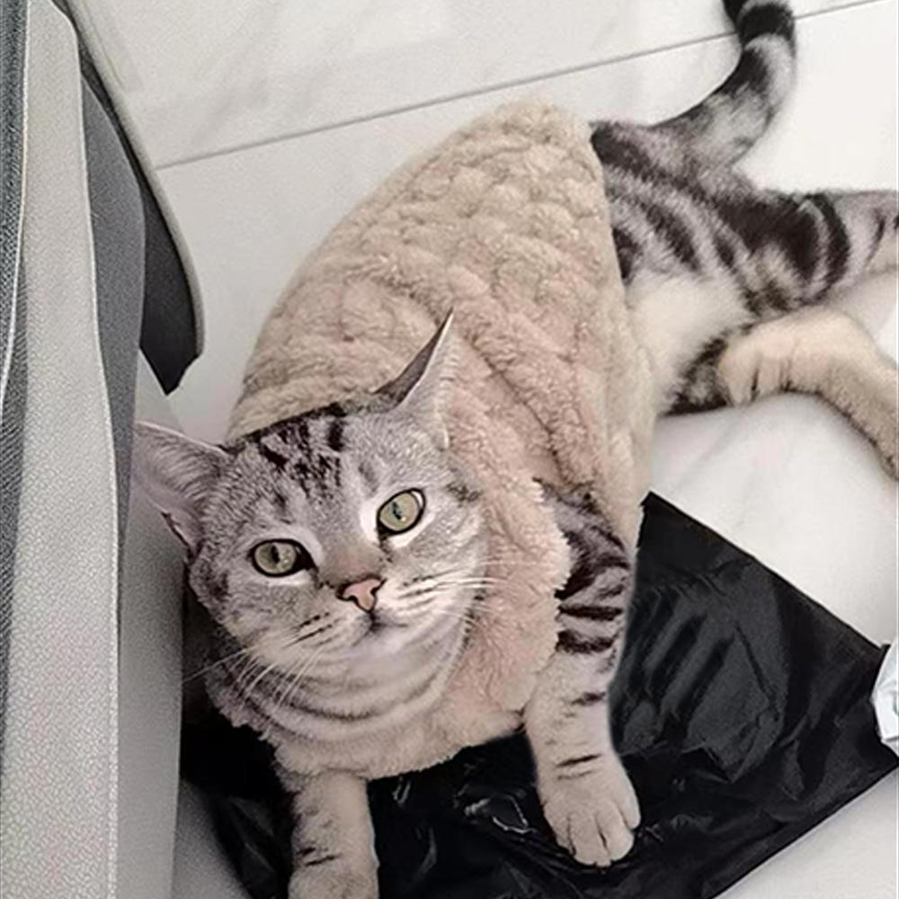 Small Dog Sweaters Soft Fleece Warm Coat Puppy Vest Jacket Pullover Comfortable Fashion Cat Sweaters Cold Weather Pet Clothes Chihuahua Yorkie Outfit