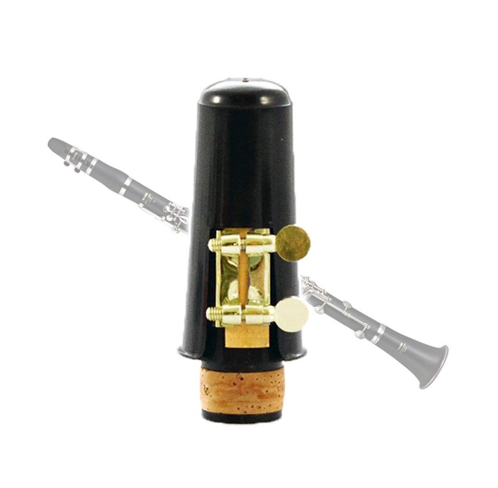 Akindou Practice Introductory B Flat Clarinet Mouthpiece Set with Reed Included and Ready To Use (Gold)