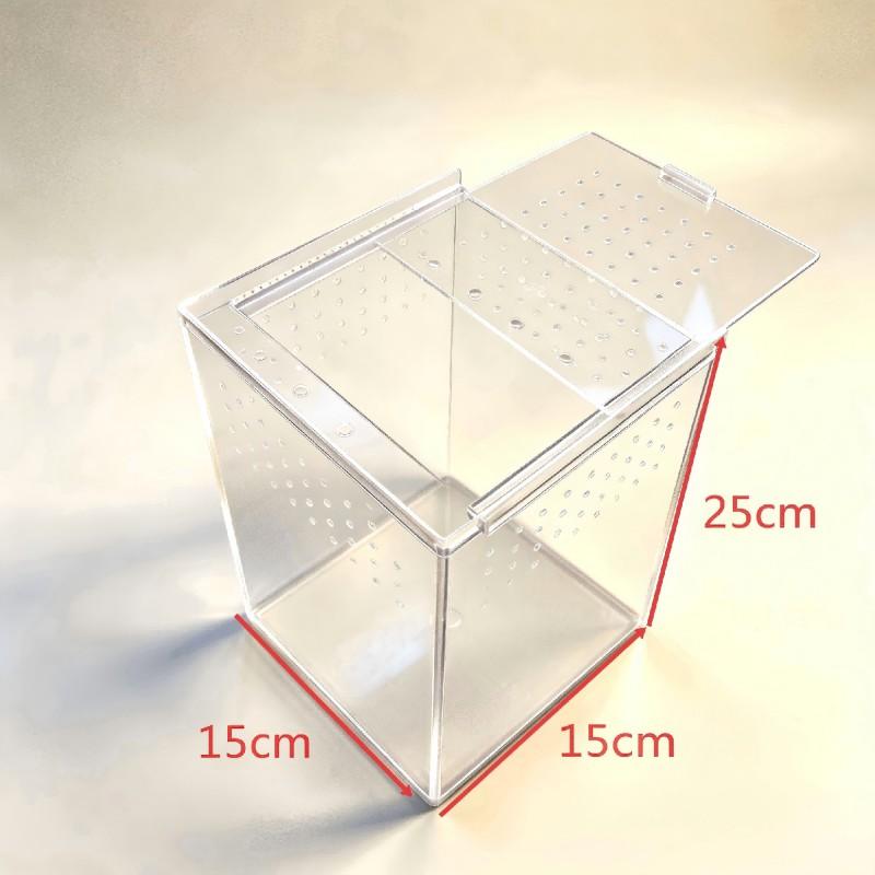 Acrylic Reptile Terrarium Geckos Lizards Spiders Horned Frogs Mantises Multi-Size Enclosure With Ventilation