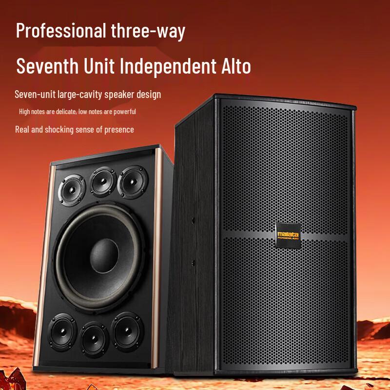 Malata Home KTV Karaoke System with 10-inch Speakers (CN version)