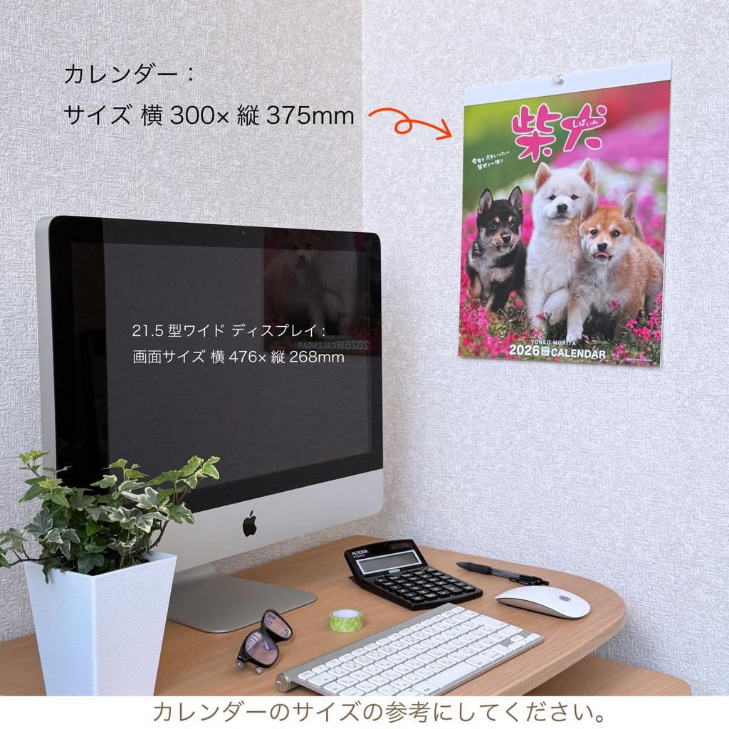 Активная Корпорация 2026 Настенный Морита Целый Шиба Начинается Январь 2026 Календарь, Йонео, Ину, 26ACL-11,