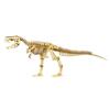 Tyrannosaurus A wooden 3D puzzle DIY craft kit that can be enjoyed by elementary school children to adults An educational toy for boys and girls Also