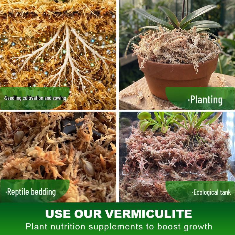 Chilean Five-Star Sphagnum Moss: Water-Retentive, Breathable Medium for Orchids, Carnivorous Plants, Ferns, Dendrobiums, and Reptile Bedding