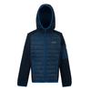 Regatta Childrens/Kids Newhill Hybrid Jacket