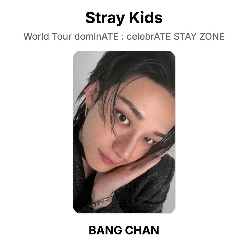 Stray Kids Мировой тур доминИруй : Официальная фотокарточка STAY ZONE CELEBRATE