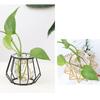 Nordic Golden Glass Vase Iron Line Vase Metal Home Decor Modern Plant Holder Terrarium Geometric Hydroponic Plant Flower
