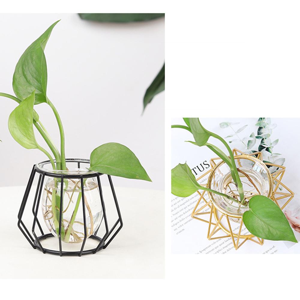 Nordic Golden Glass Vase Iron Line Vase Metal Home Decor Modern Plant Holder Terrarium Geometric Hydroponic Plant Flower