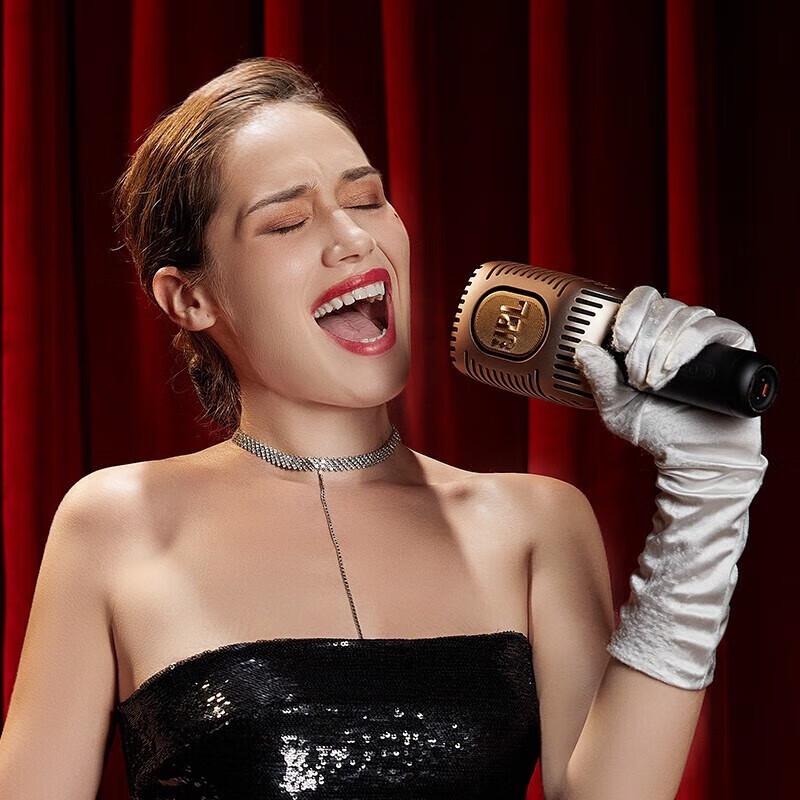 JBL KMC650 Wireless Karaoke Microphone Speaker