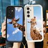 Чехол для телефона Samsung Galaxy A17 A16 A15 A14 A13 Узор Жираф Животное A56 A36 A26 A55 A35 A25 A54 A34 A24 A53 A33 A23 A07 A06