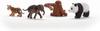 Schleich Wildlife Asian Wildlife Set 42736