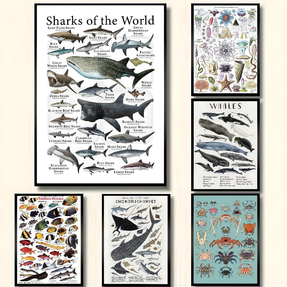 Whale and Shark Seashells Turtles Octopus Fish Marine Life Ocean Animals Poster and Print Canvas Painting Wall Art Home Living Room