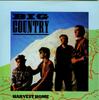 7-дюймовая пластинка BIG COUNTRY  Harvest Home COUNT1 PHONOGRAM 1982 UK Rock Б/у
