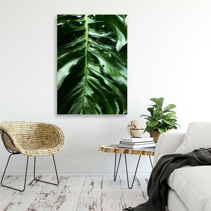 Canvas print, Smooth leaf of a monstera plant