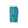 Jordan Шорты для баскетбола мужские Charlotte Hornets Team ICON Edition 2020 NBA Сине-зеленые CN8083-443