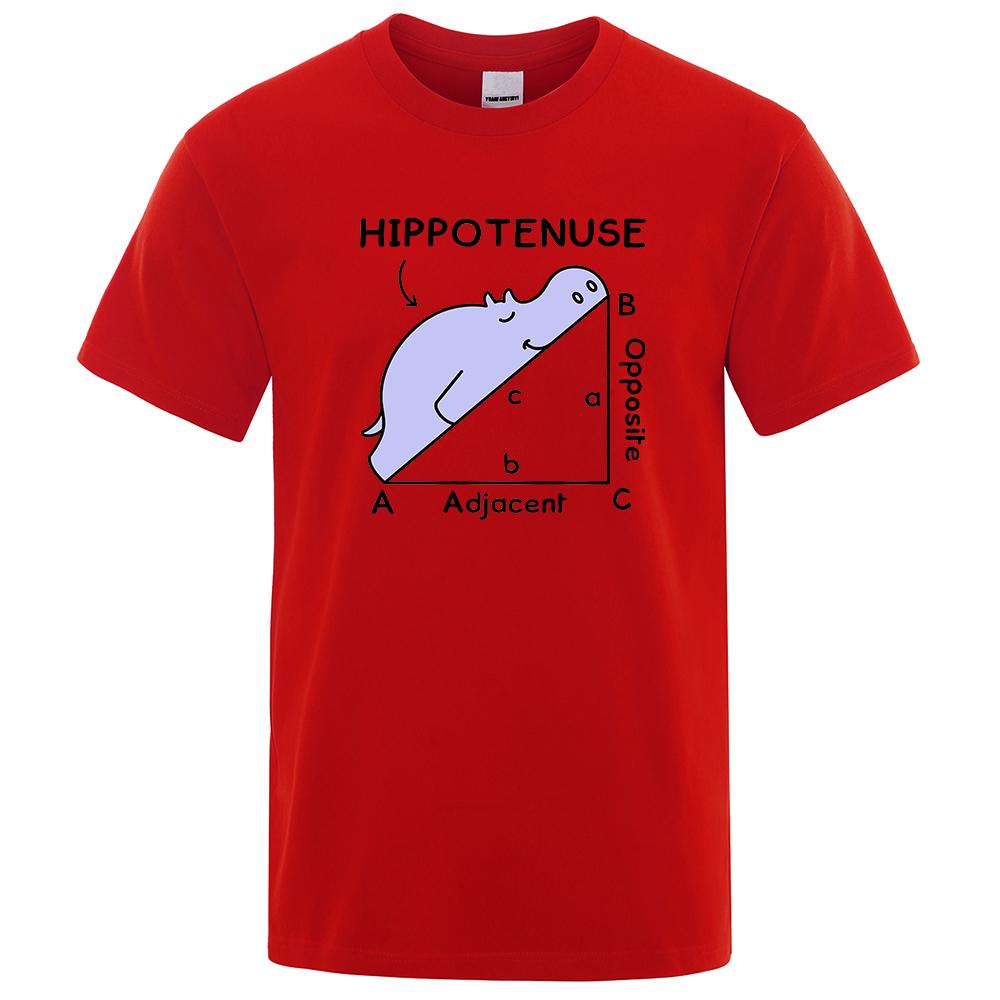 Мужские футболки с забавным принтом Hippotenuse, летние хлопковые милые уличные футболки с тригонометрическими функциями, мужская футболка