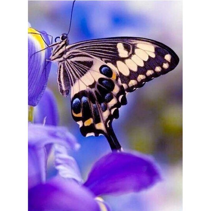 DIY Butterfly 5D Diamond Painting Full Round Drill Mosaic Animal Diamont Embroidery Cross Stitch Kits Resin Home Decor Art Gift