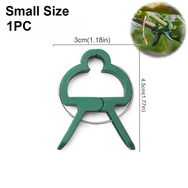 50 шт. фиксированных зажимов для растений, многоразовый зажим для садовой теплицы, кронштейн для фиксированных растений, инструментов для поддержки стеблей саженцев виноградной лозы